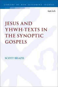 Bokomslag for "Jesus and YHWH-Texts  in the Synoptic Gospels"