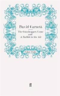 The Grasshoppers Come and A Rabbit in the Air