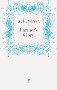Farmer's Glory