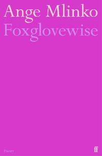 Foxglovewise