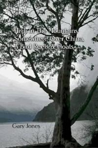 High In the Mountains Somewhere Over China, A Bird Reels & Floats