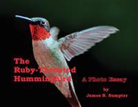 The Ruby-throated Hummingbird