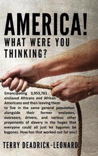 Bokomslag för "America! What Were You Thinking?"