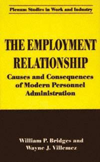 Springer Studies in Work and Industry