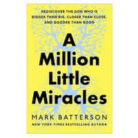 A Million Little Miracles