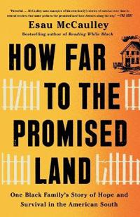 Bokomslag för "How Far to the Promised Land"