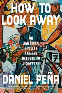 How to Look Away: On American Cruelty, from Borderlands to Heartlands
