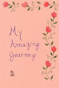 My Amazing Journey