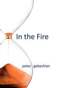 Bokomslag för "In the Fire"