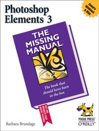 Missing Manual