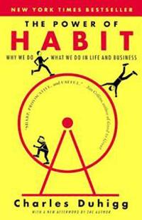 Duhigg, C: Power of Habit
