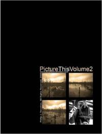 Picture This Volume 2