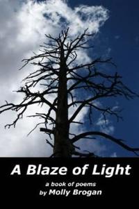 A Blaze of Light