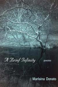 A Brief Infinity: Poems