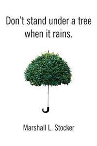 Don't Stand Under a Tree When It Rains