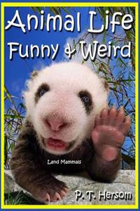 Animal Life Funny & Weird Land Mammals: Learn with Amazing Photos and Fun Facts about Animals and Land Mammals