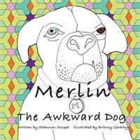 Merlin The Awkward Dog