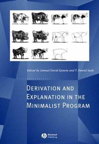 Derivation and explanation in the minimalist program
