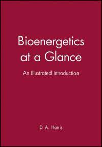 Bioenergetics at a Glance