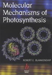 Bokomslag för "Molecular mechanisms of photosynthesis"