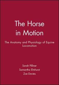Horse in motion