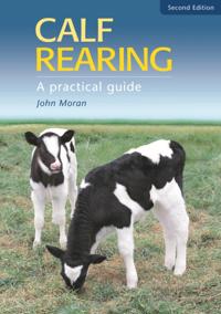 Calf Rearing