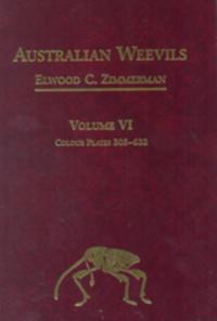 Australian Weevils Series