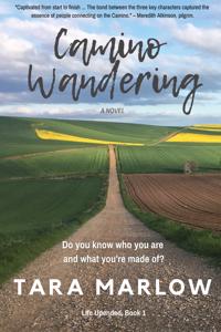 Camino Wandering