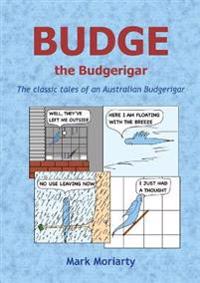 Budge the Budgerigar