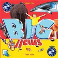 Big and Small: A Concept Picture Book for Children