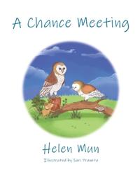 A Chance Meeting