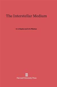 The Interstellar Medium