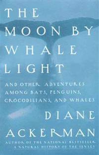 Moon By Whale Light