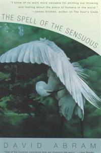 The Spell of the Sensuous