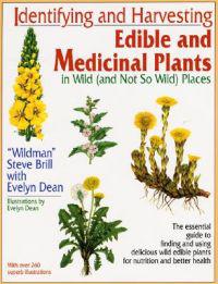Identifying And Harvesting Edible And Medicinal Plants In Wi