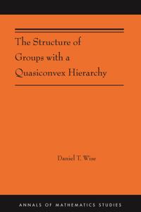 Bokomslag för "The Structure of Groups with a Quasiconvex Hierarchy"