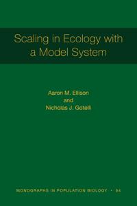 Scaling in Ecology with a Model System