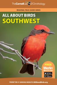 Cornell Lab of Ornithology