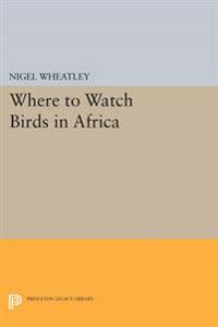 Where to Watch Birds in Africa