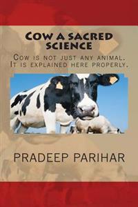 Cow a Sacred Science: Cow Is Not Just Any Animal. It Is Explained Here Properly.