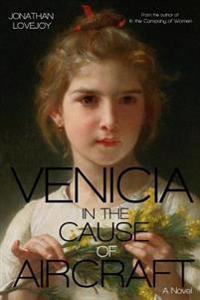 Venicia in the Cause of Aircraft