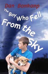 The Boy Who Fell from the Sky