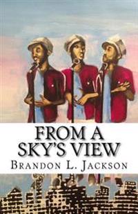 From a Sky's View