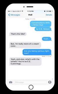 Conversations with a White Wall
