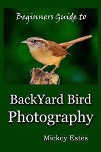 Beginners Guide to Backyard Bird Photography