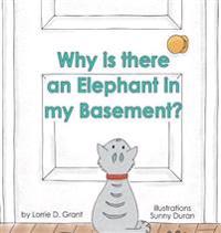 Why is there an Elephant in my Basement?