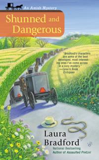 An Amish Mystery