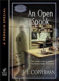 A Haunted Guesthouse Mystery