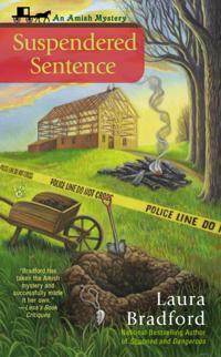 An Amish Mystery