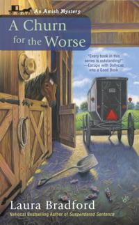 An Amish Mystery